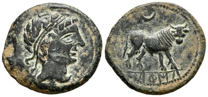 Celtiberian Coins