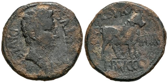 Celtiberian Coins