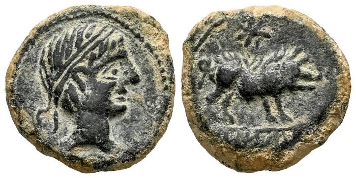 Celtiberian Coins