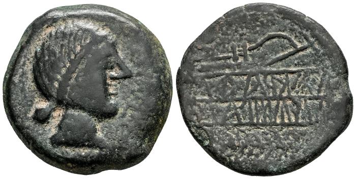 Celtiberian Coins