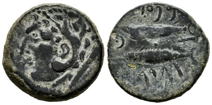 Celtiberian Coins