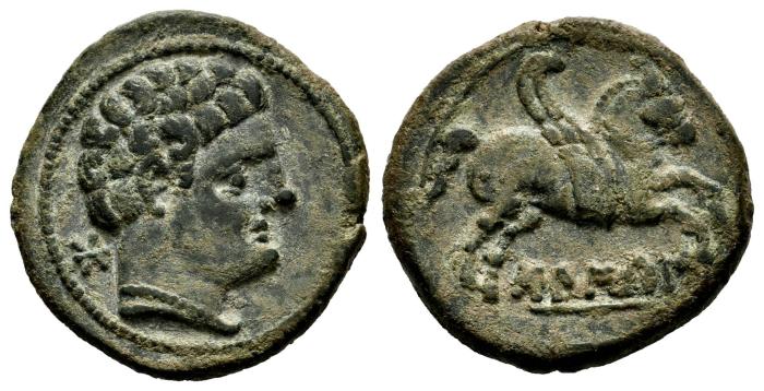 Celtiberian Coins