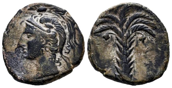 Celtiberian Coins