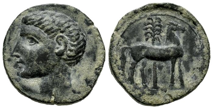 Celtiberian Coins