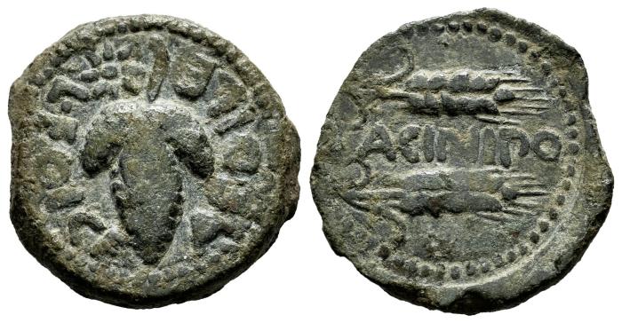 Celtiberian Coins