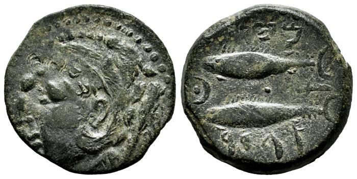 Celtiberian Coins