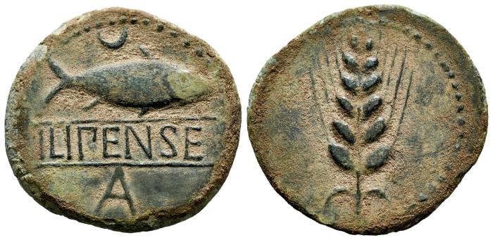Celtiberian Coins