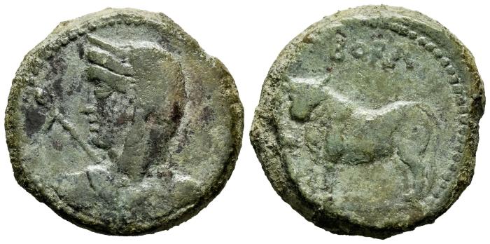 Celtiberian Coins