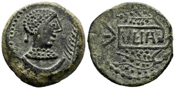Celtiberian Coins