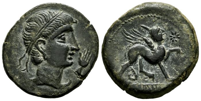 Celtiberian Coins