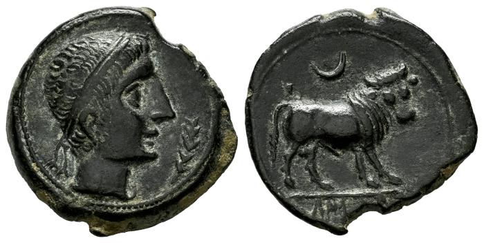 Celtiberian Coins
