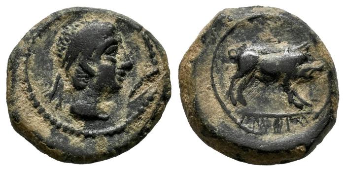 Celtiberian Coins