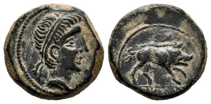 Celtiberian Coins