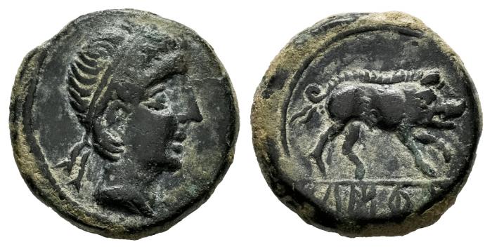 Celtiberian Coins