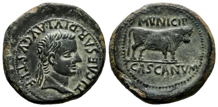 Celtiberian Coins