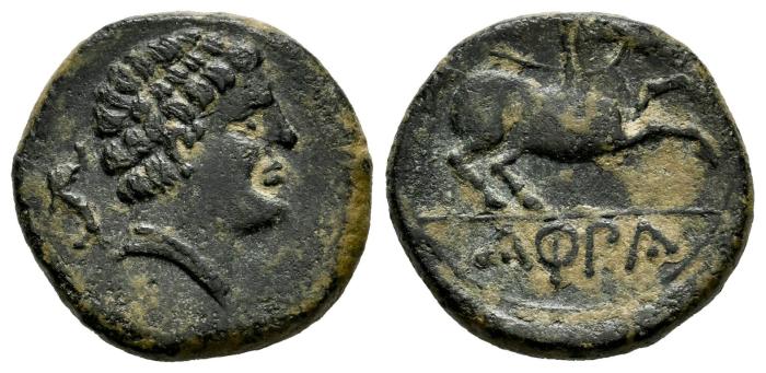 Celtiberian Coins