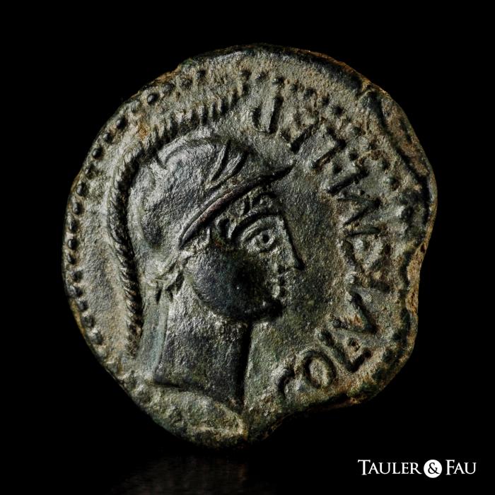 Celtiberian Coins