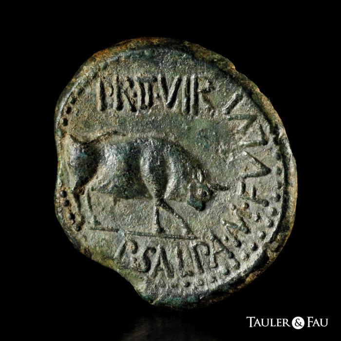 Celtiberian Coins