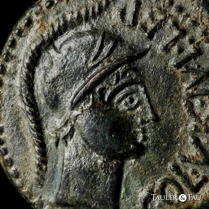 Celtiberian Coins