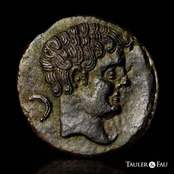 Celtiberian Coins