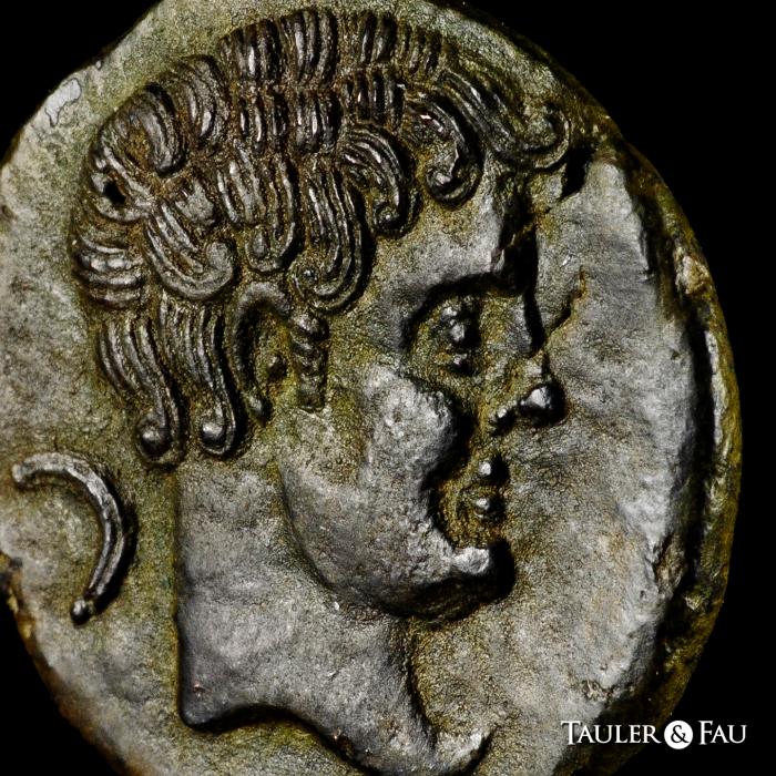 Celtiberian Coins