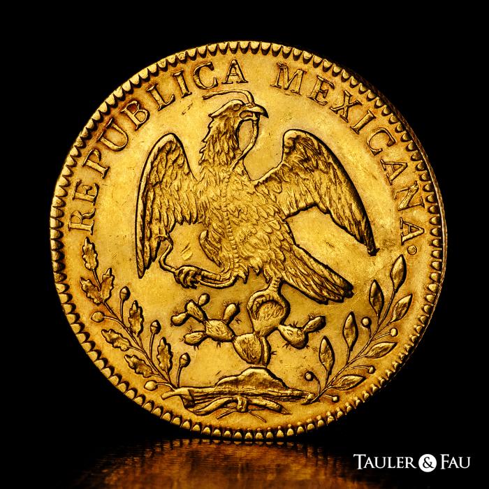 World Coins