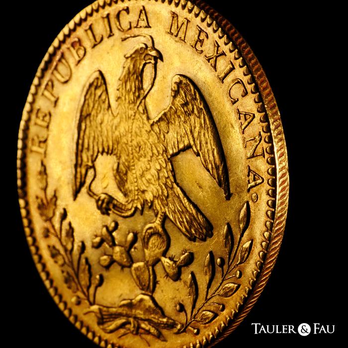 World Coins