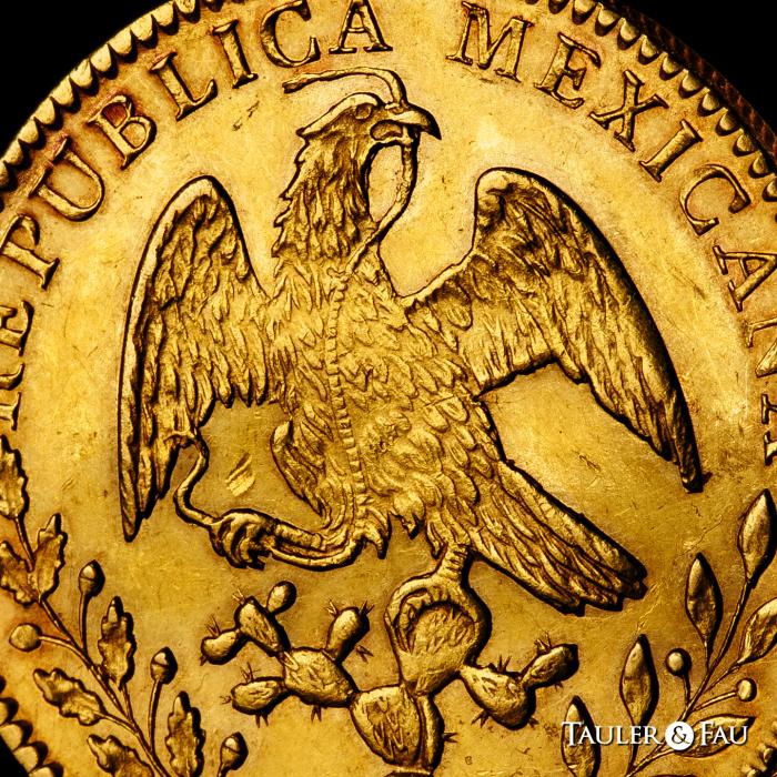 World Coins