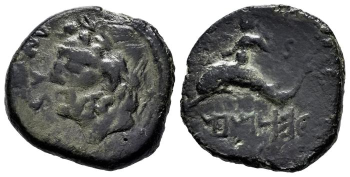 Celtiberian Coins