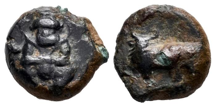 Celtiberian Coins