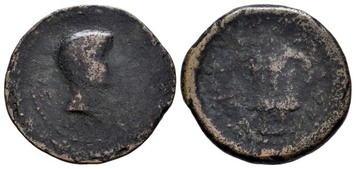 Celtiberian Coins