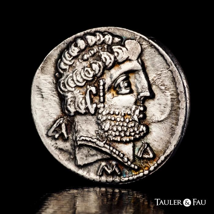 Celtiberian Coins