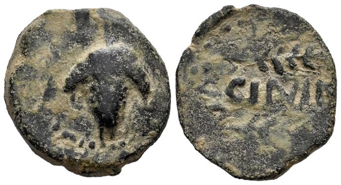 Celtiberian Coins