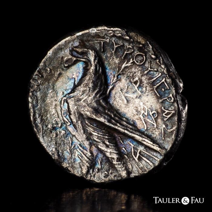 Greek Coins